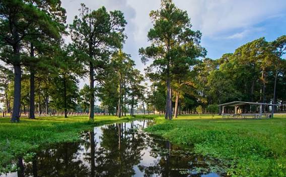 Alexander Deussen Park