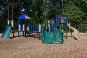 Terramont Park Woods & Dog Park
