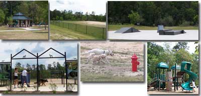Cattail Park