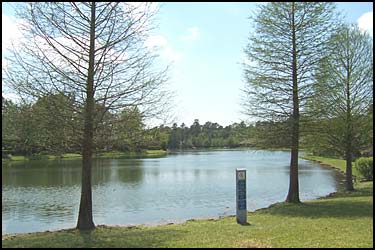 Cokeberry Pond Park
