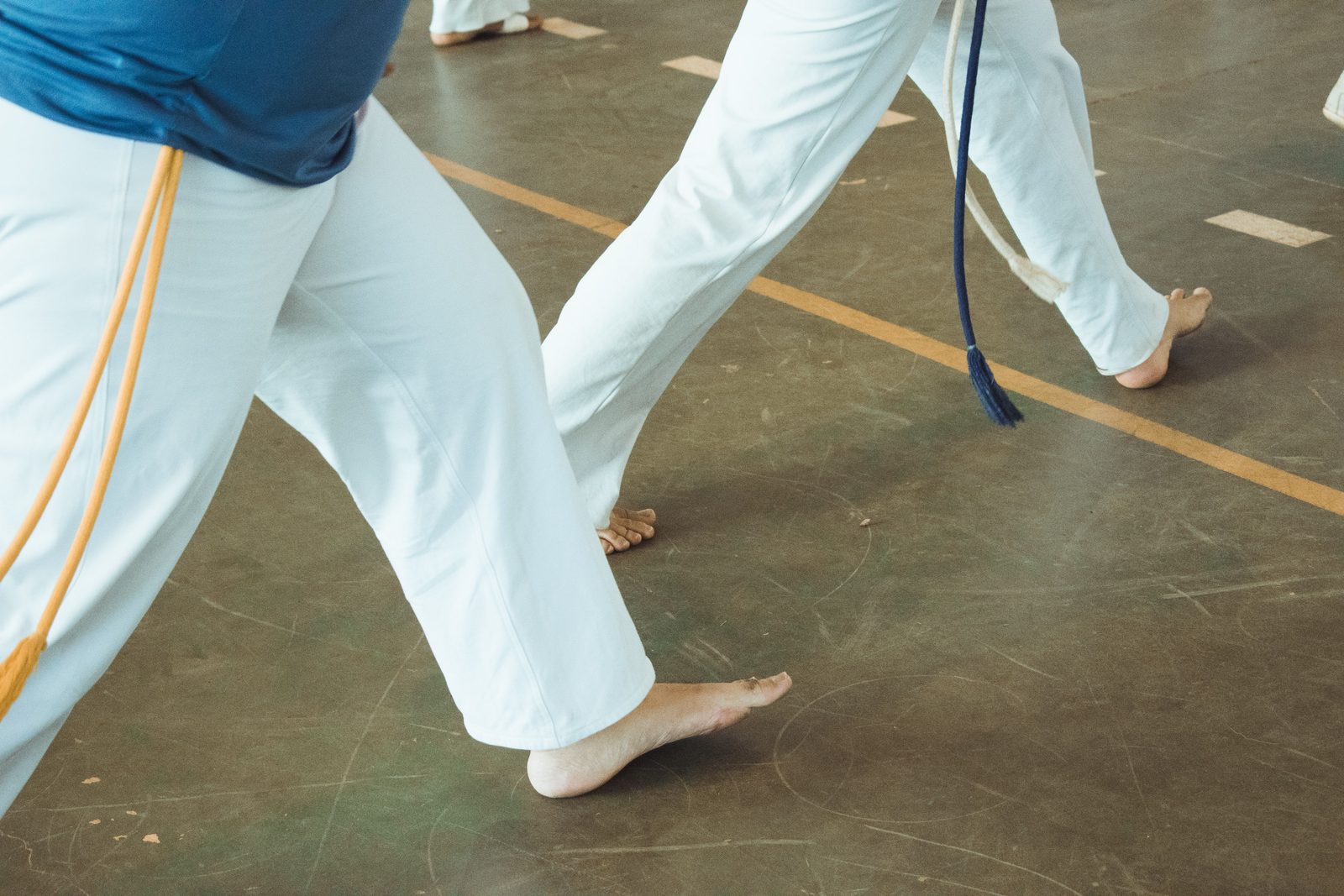 Maven Jiu-Jitsu Academy