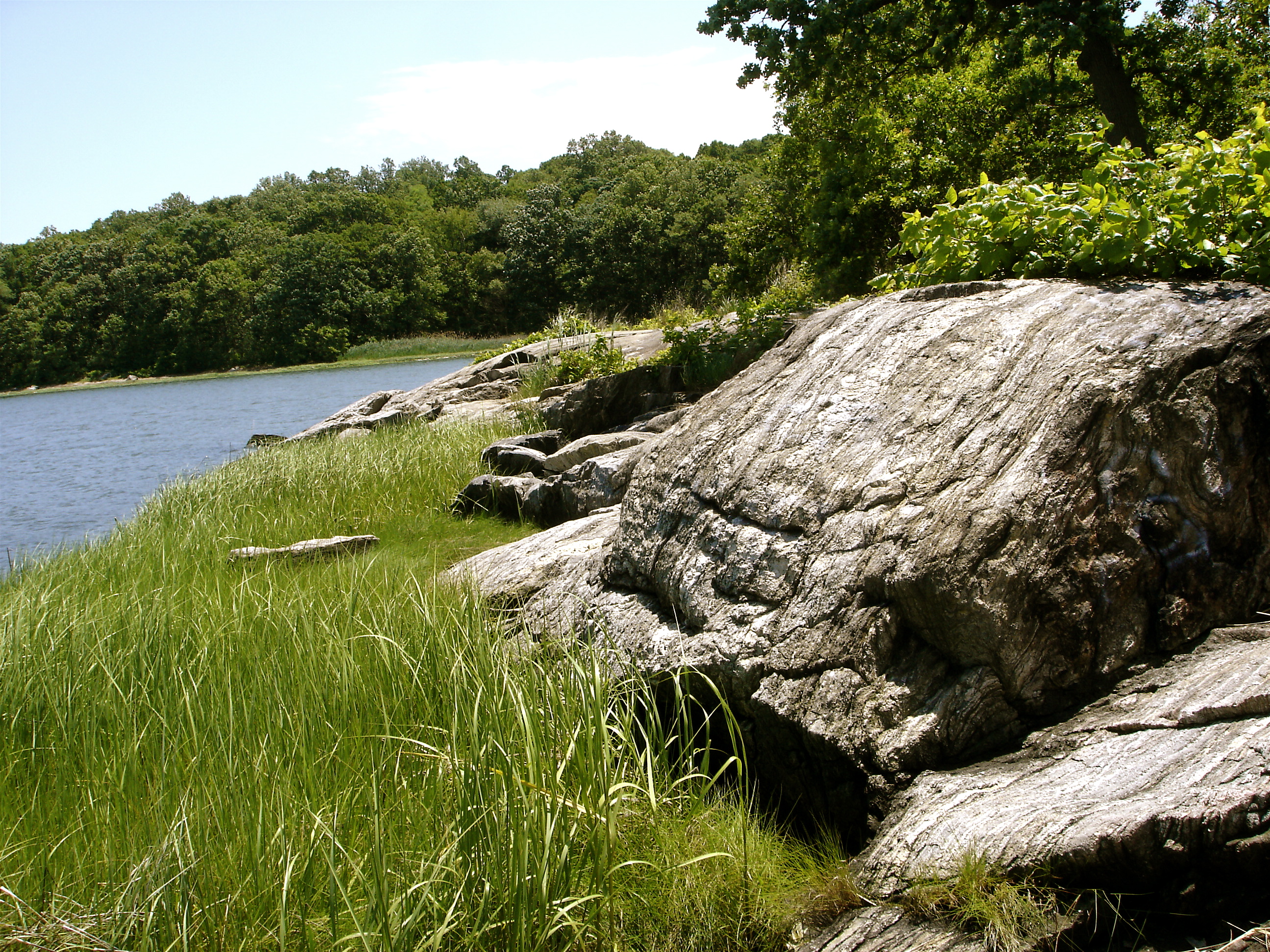 Pelham Bay Park - Kazimiroff Nature Trail