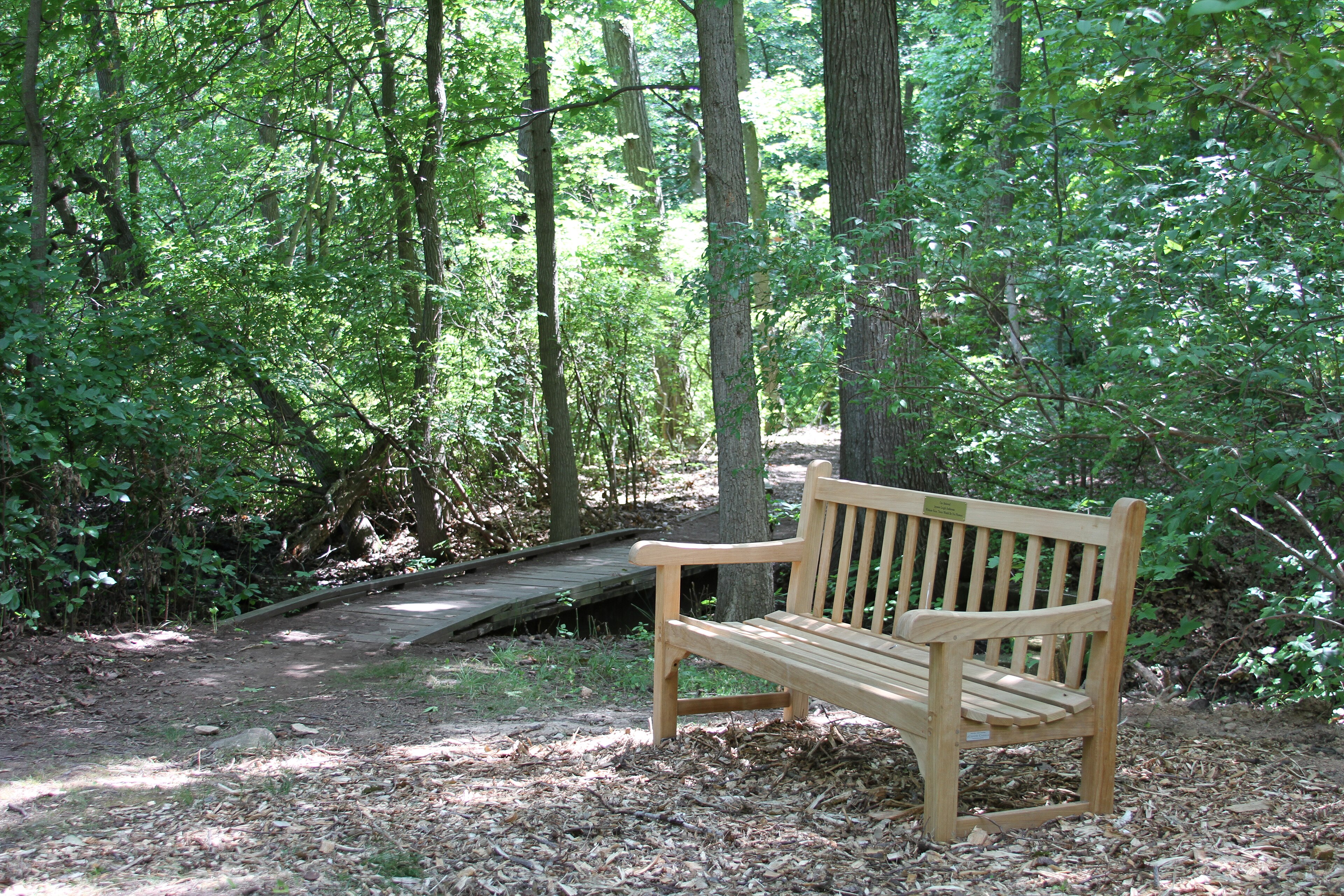 Staten Island Greenbelt - High Rock Park