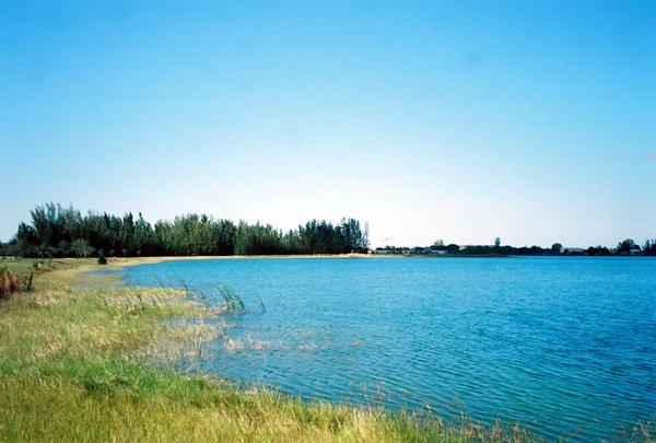 Bill Graham Farm Village at Amelia Earhart Park