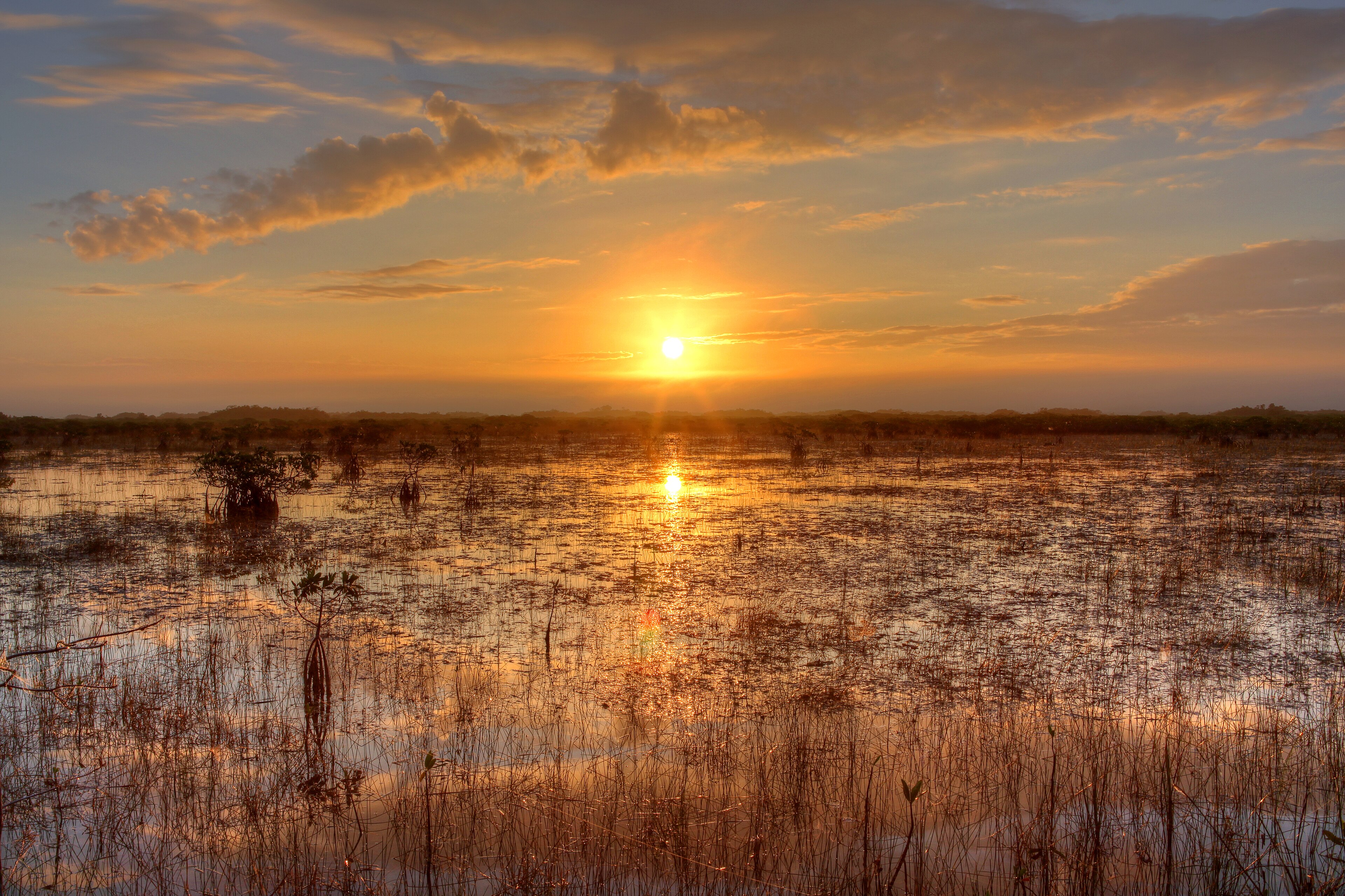 Everglades National Park - Anhinga Trail