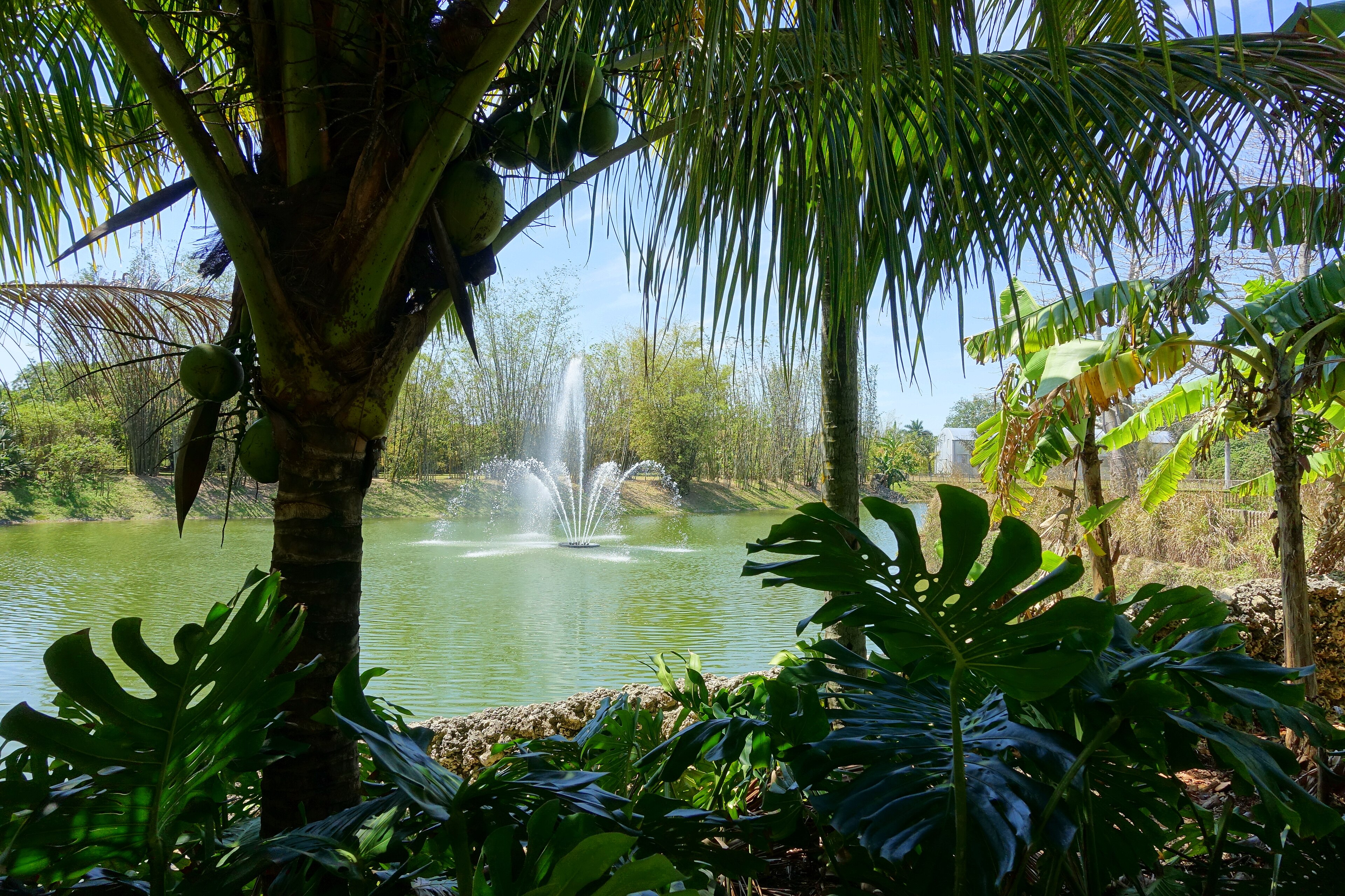 Fruit and Spice Park