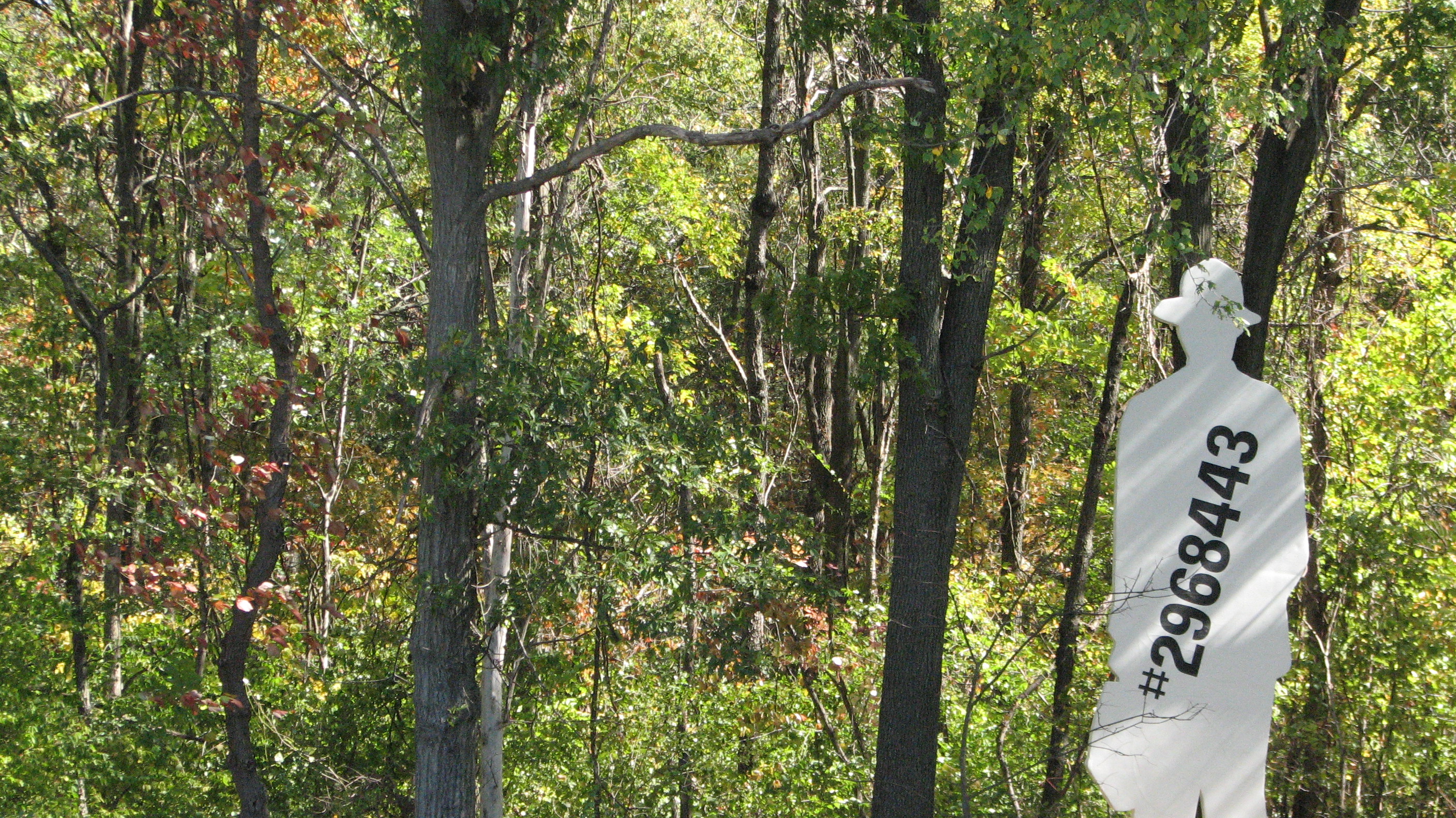 Sculpture Park at Laumeier