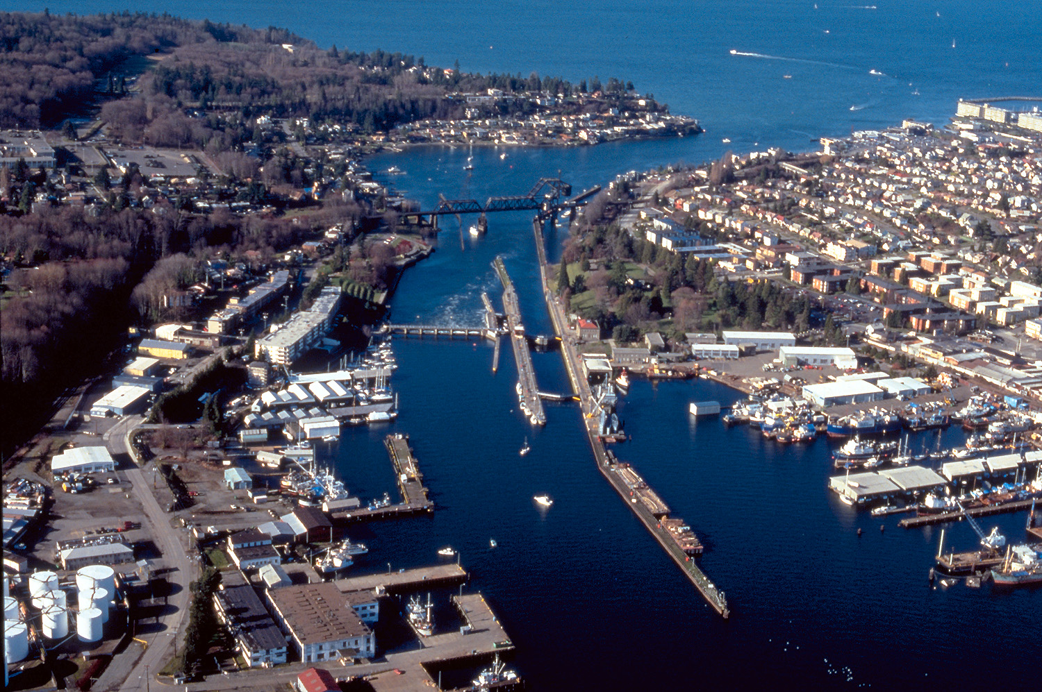 Ballard Locks Fish Ladder