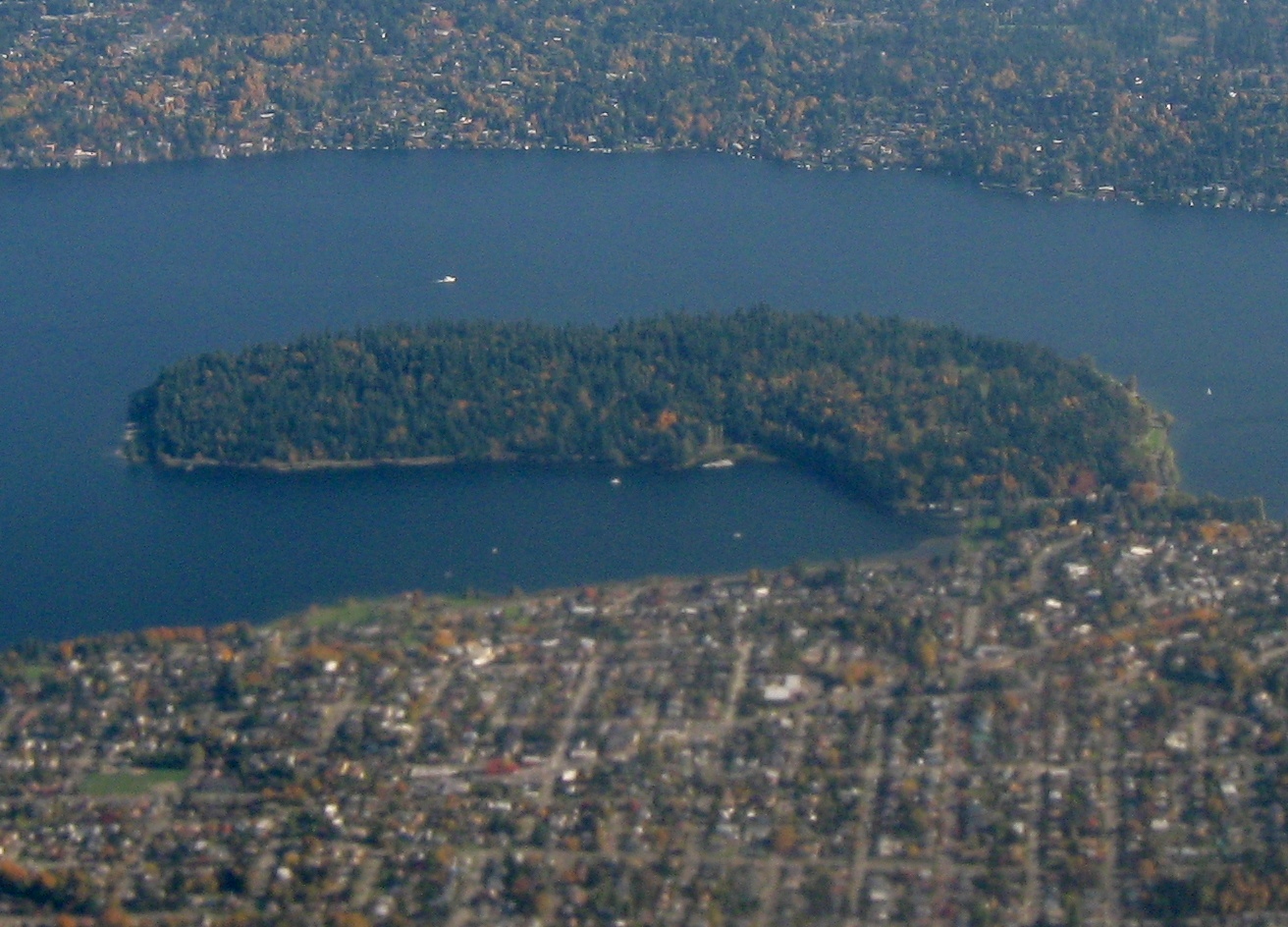 Seward Park Old-Growth Forest