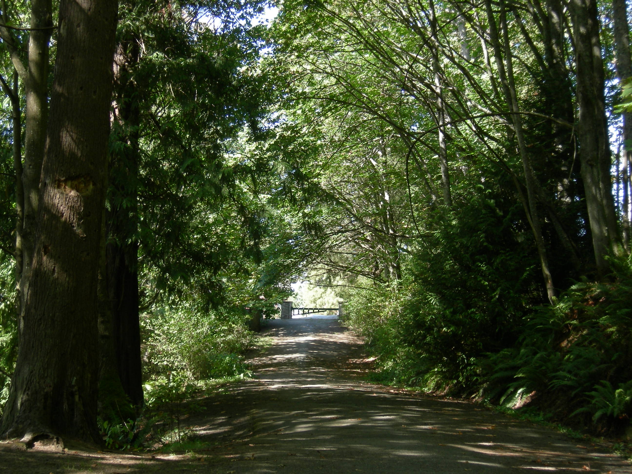 Schmitz Preserve Park