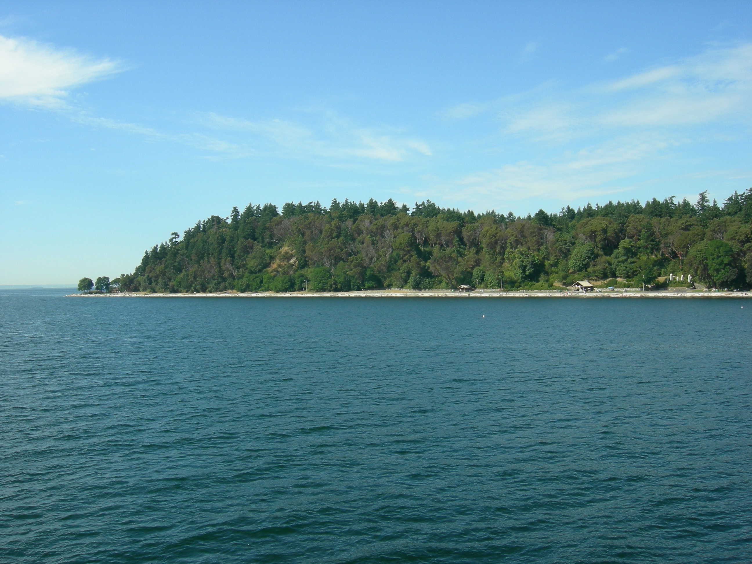 Lincoln Park West Seattle Bluff Trail