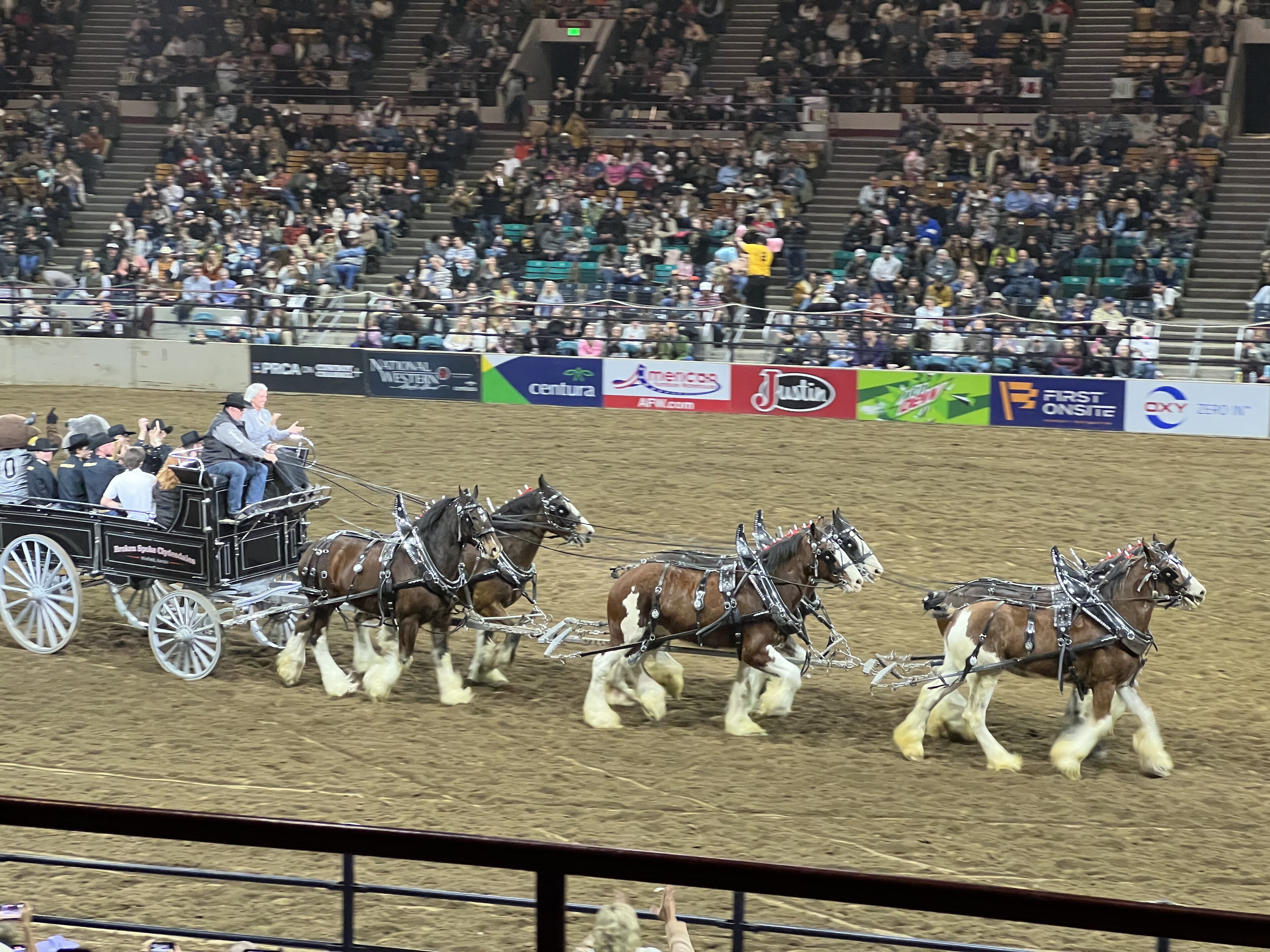 National Western Stock Show Complex