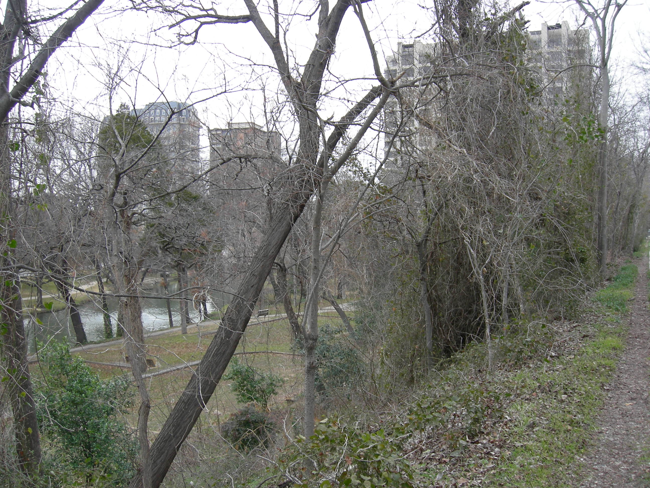 Turtle Creek