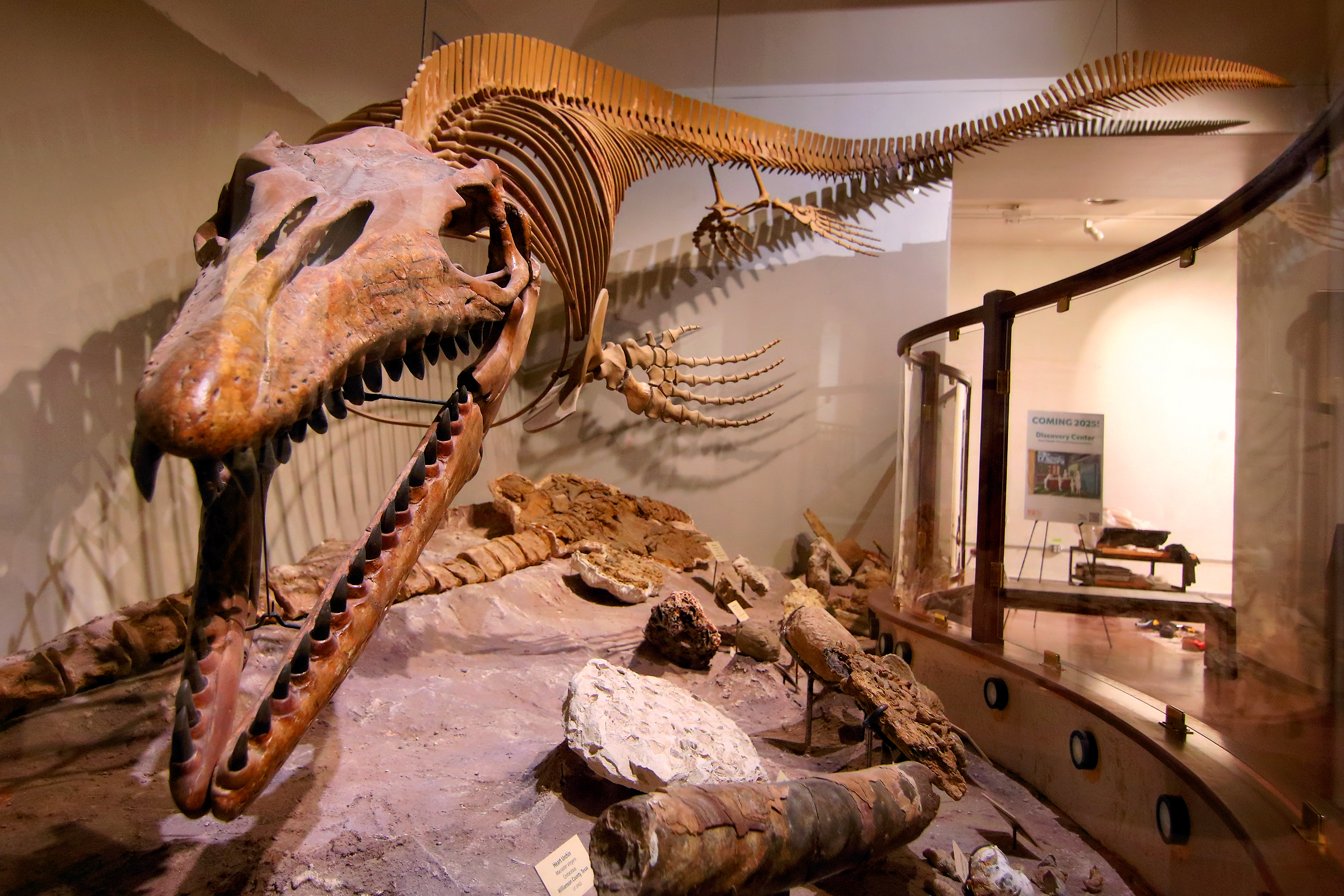 Texas Memorial Museum