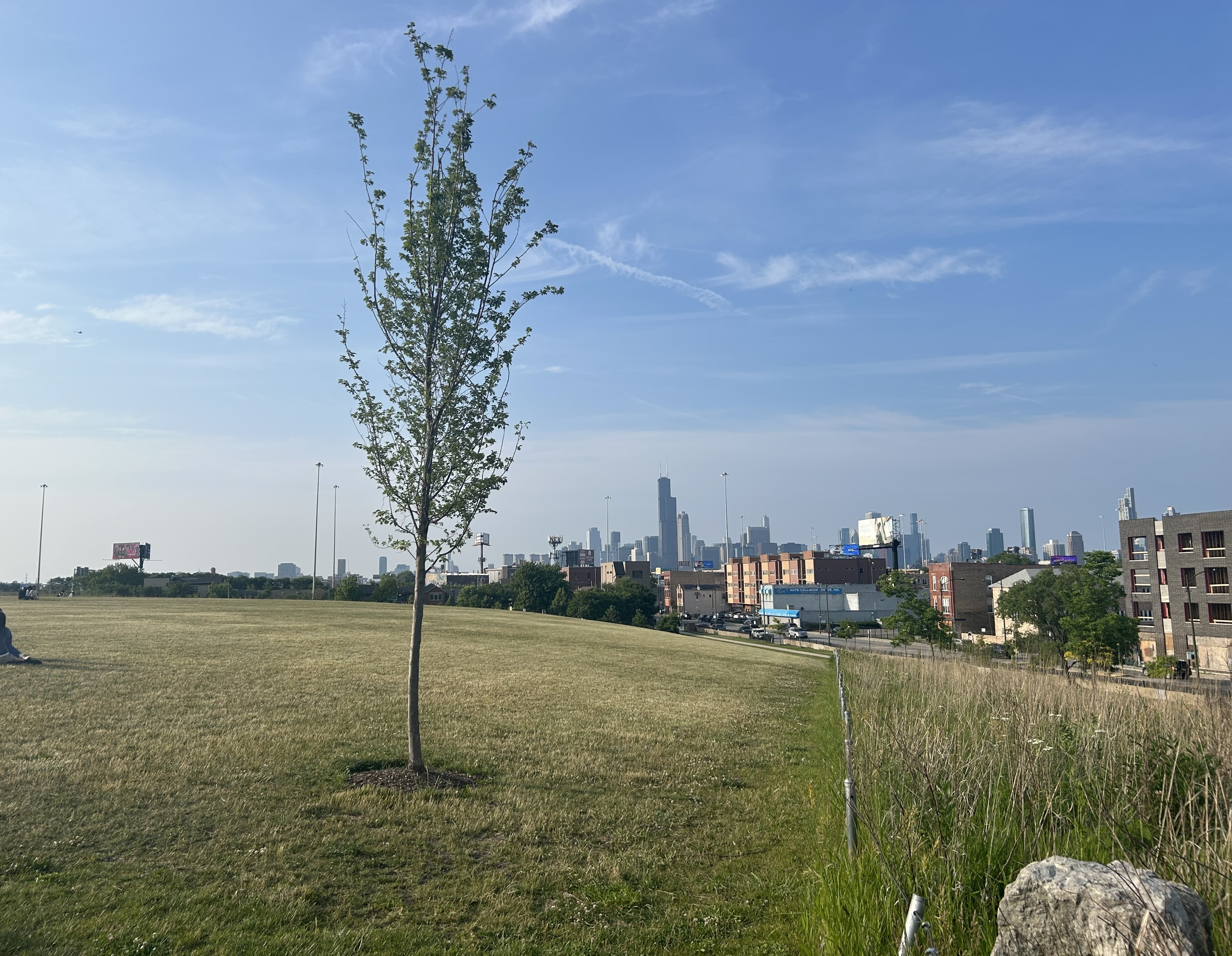 Palmisano Park