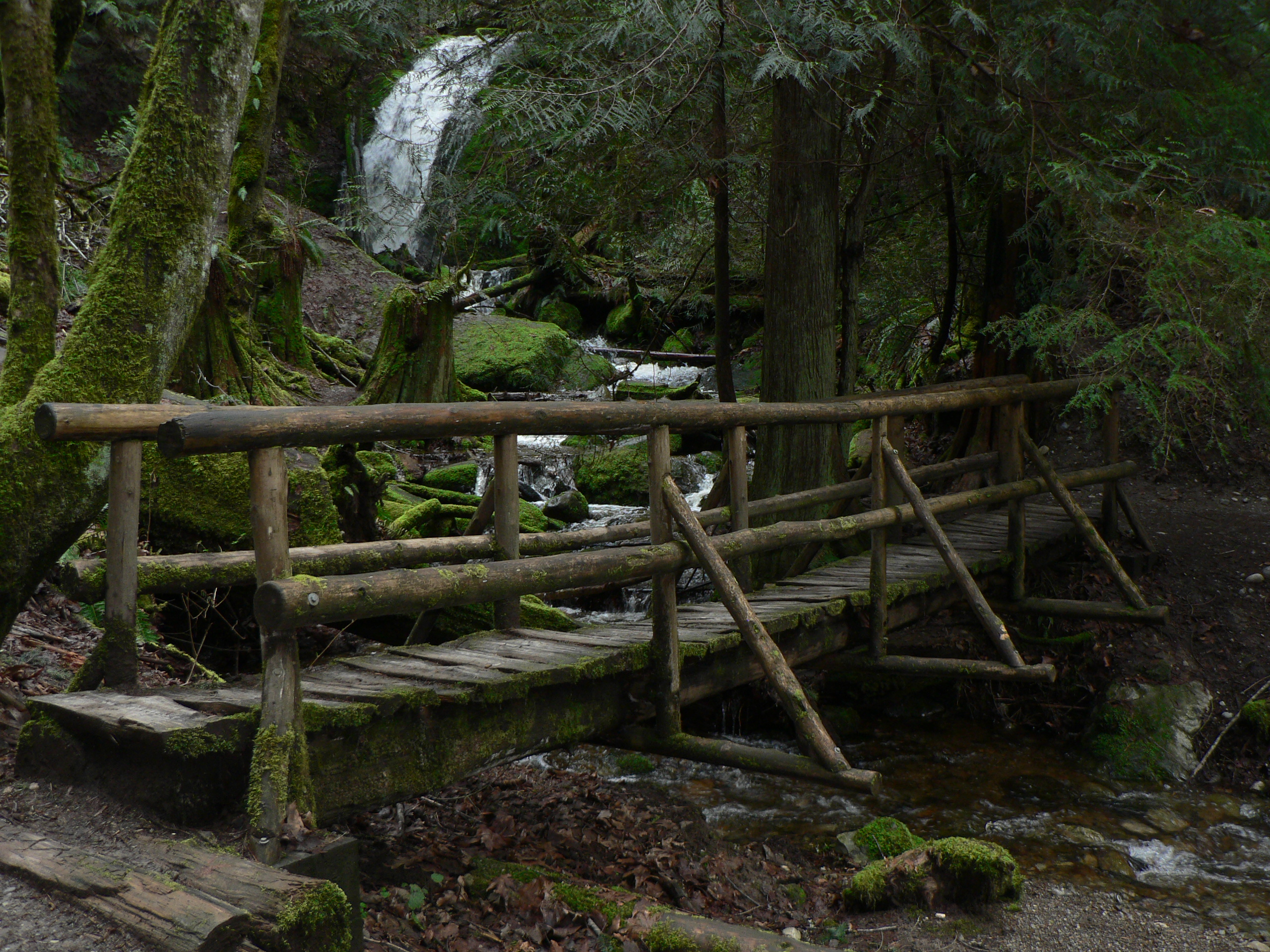 Cougar Mountain Regional Wildland Park